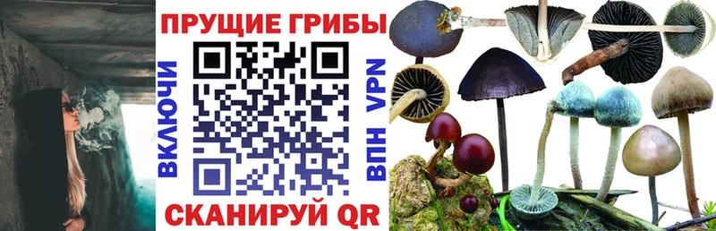 Галлюциногенные грибы GOLDEN TEACHER  наркошоп  мега ссылки  Нюрба 